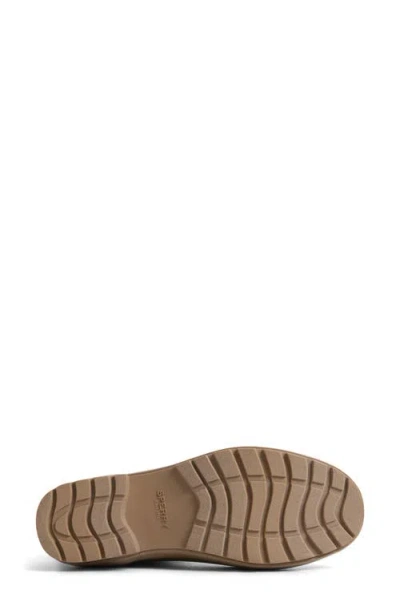 Sperry Mist Waterproof Chelsea Boot In Brown