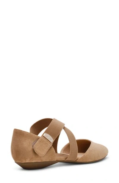 Anne Klein Oswaldo Pointed Toe Flat In Brown