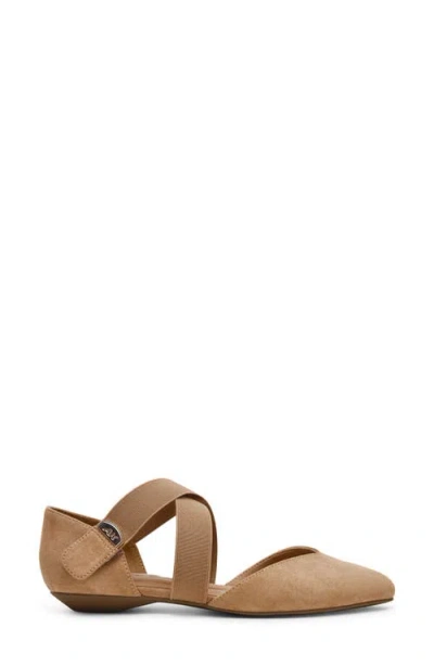 Anne Klein Oswaldo Pointed Toe Flat In Brown