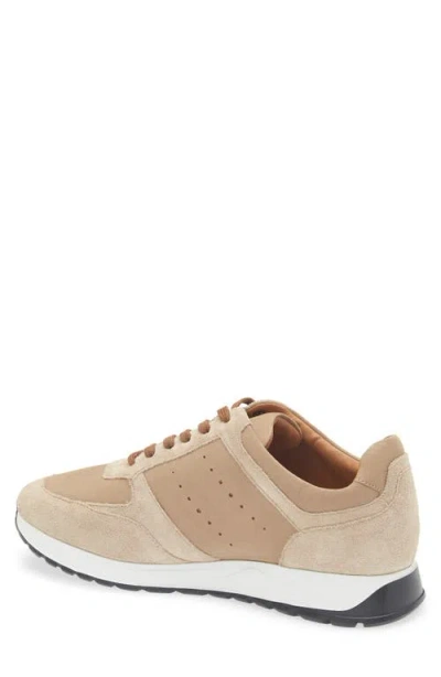 Allen Edmonds Everett Slip-on Sneaker In Brown