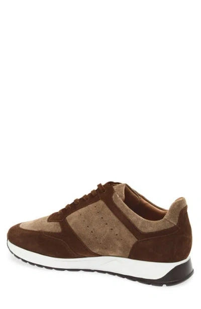 Allen Edmonds Everett Slip-on Sneaker In Brown