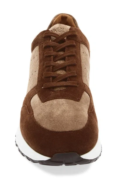 Allen Edmonds Everett Slip-on Sneaker In Brown