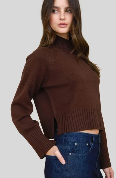 Blu Pepper Turtleneck Cozy Sweater In Brown
