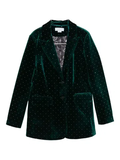 Never Fully Dressed Embellished Velvet Hot Pants In Green