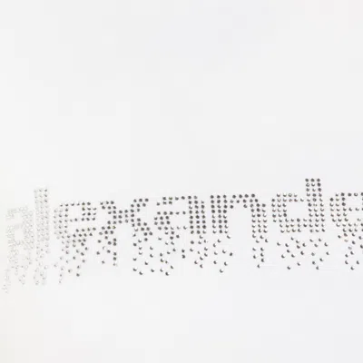 Alexander Wang Crystal Hotfix Logo Cotton Baby T-shirt Clothing In White