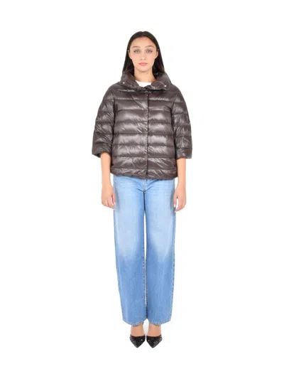 Herno Brown Puffer Jacket In Brown