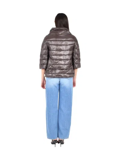Herno Brown Puffer Jacket In Brown