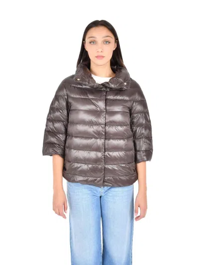 Herno Brown Puffer Jacket In Brown