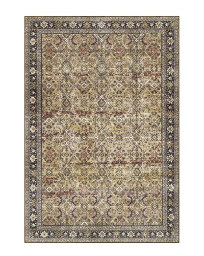Surya Leicester Traditional Washable Rug In Brown