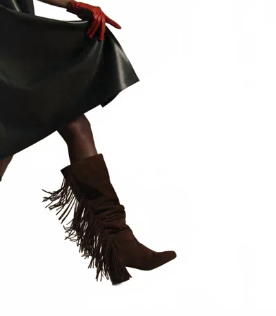 Pierre Hardy Women's Texas Tall Boot In Chocolate Suede In Brown