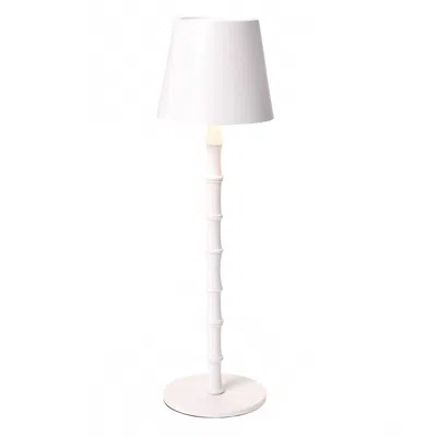 Two's Company Led Cordless Bamboo Table Lamp In White In White