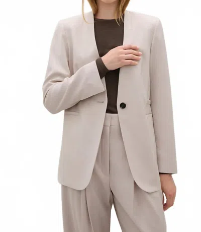 A.emery Clifton Long Sleeve Blazer In Oyster In Neutral