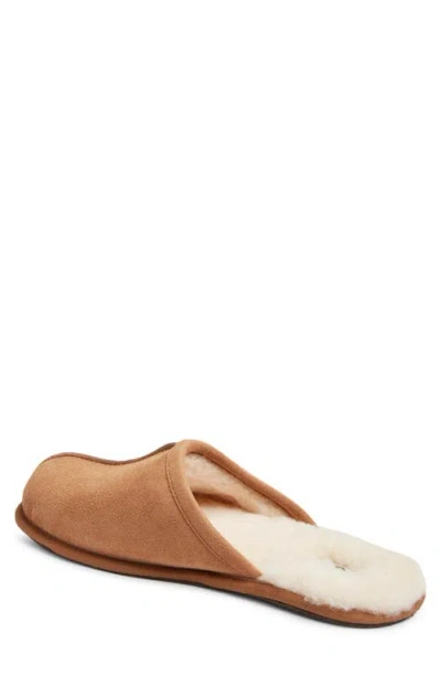 Ugg Scuff In Brown
