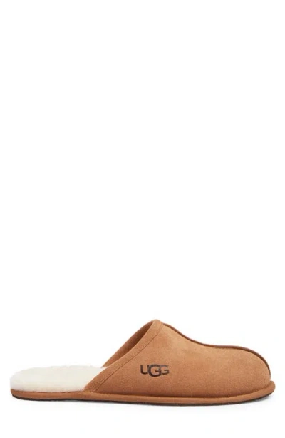 Ugg Scuff In Brown