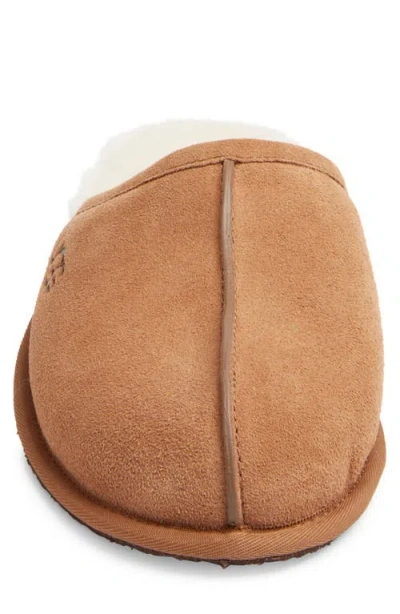 Ugg Scuff In Brown