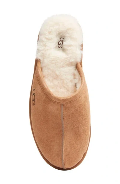 Ugg Scuff In Brown