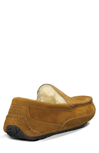 Ugg Ascot Slipper One Pedal Athleisure Casual Sports Shoes Fleece Lined In Multi