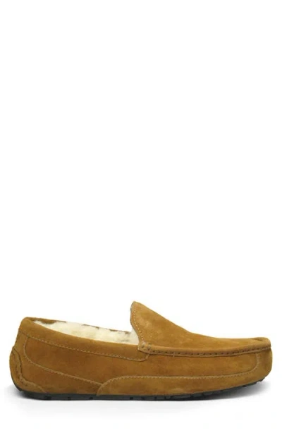 Ugg Ascot Slipper One Pedal Athleisure Casual Sports Shoes Fleece Lined In Multi