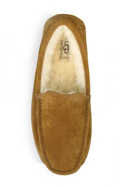 Ugg Ascot Slipper One Pedal Athleisure Casual Sports Shoes Fleece Lined In Multi