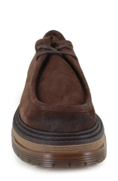 Zigi Odila Desert Boot In Multi
