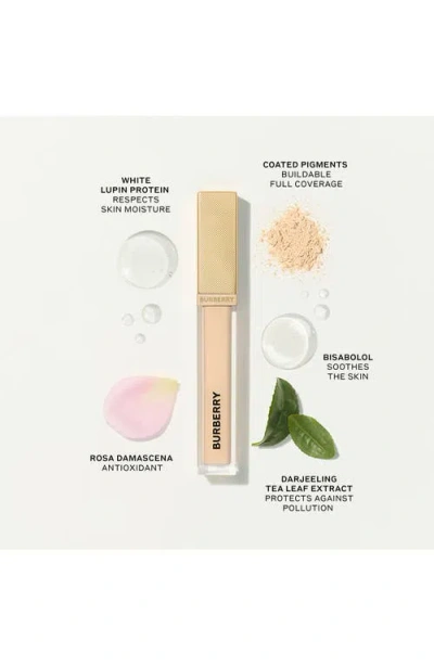 Burberry Beyond Wear Perfecting Concealer In Brown