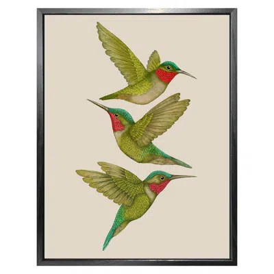 Emily Carter 'antique Tropical Hummingbirds' Cream Fine Art Print S In Green