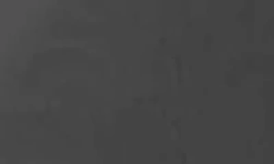 Asrv Aerosilver® Established Tee In Gray