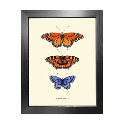 Emily Carter Gold 'antique British Butterflies I' Fine Art Print A3 In Black
