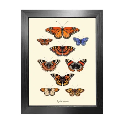 Emily Carter Brown 'antique British Butterflies' Fine Art Print A5 In Black