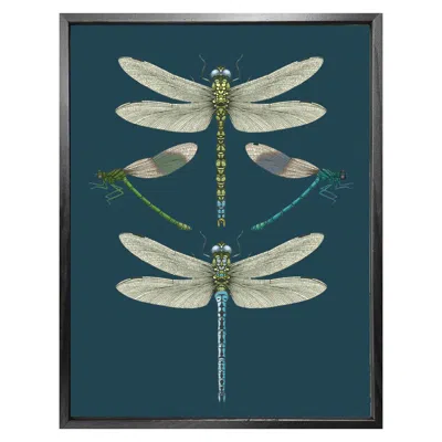 Emily Carter 'dragonflies & Damselflies - Navy' Fine Art Print A5 In Blue
