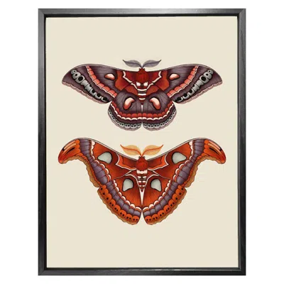 Emily Carter Antique Atlas & Cecropia Moths Fine Art Print A5 In Red
