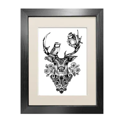 Emily Carter The Roe Deer Fine Art Print A3 In Black