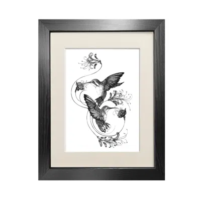 Emily Carter Black Hummingbirds & Honeysuckle Fine Art Print A3 In Black