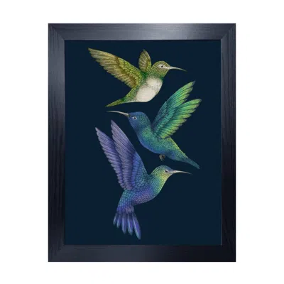 Emily Carter Antique Hummingbirds Ii Indigo Fine Art Print M In Black