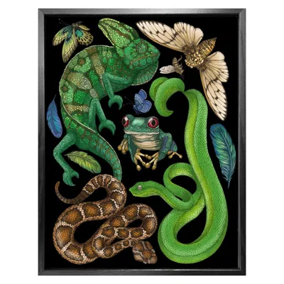 Emily Carter Antique Reptiles & Amphibians - Black Fine Art Print - A5 In Green