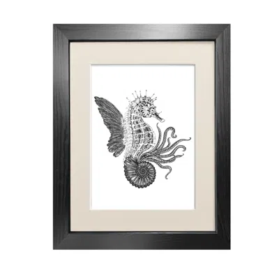 Emily Carter Black Ammonautilae Fine Art Print A3 In Black
