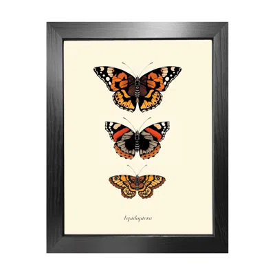 Emily Carter Gold 'antique British Butterflies Ii' Fine Art Print A5 In Multi