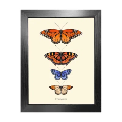 Emily Carter Gold 'antique British Butterflies Iii' Fine Art Print A4 In Multi
