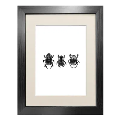 Emily Carter Black 'dung Beetles' - Fine Art Print A5 In Black