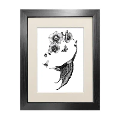Emily Carter Black 'apiaster Orchidae' - Fine Art Print A4 In Black