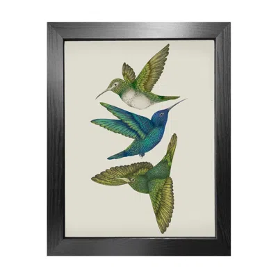 Emily Carter Antique Hummingbirds Iii Cream - Fine Art Print M In Green