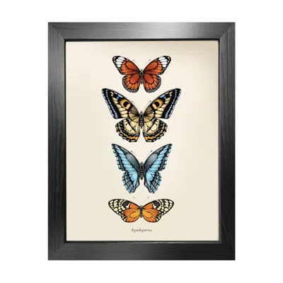 Emily Carter Antique Tropical Butterflies Iii' Fine Art Print A4 In Multi