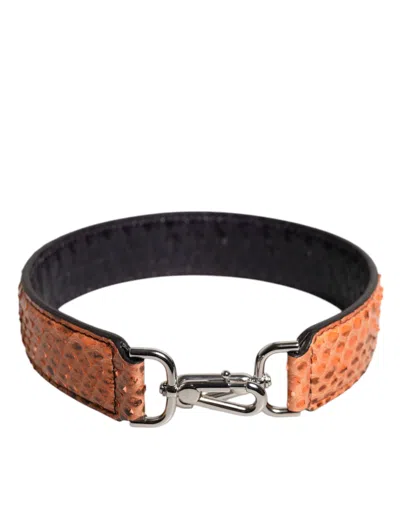 Dolce & Gabbana Black Beige Exotic Leather Bag Shoulder Strap In Orange