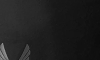 Asrv Tetra-lite Training Shorts In Black