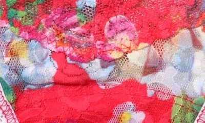 Hanky Panky Signature Lace Low Rise Thong In Multi