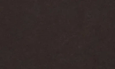 Spiritual Gangster Spiritual Optimist Graphic Tank In Black