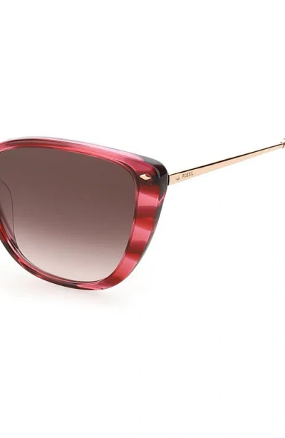 Fossil 54mm Cat Eye Sunglasses In Brown