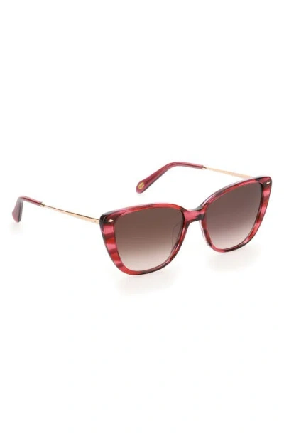 Fossil 54mm Cat Eye Sunglasses In Brown