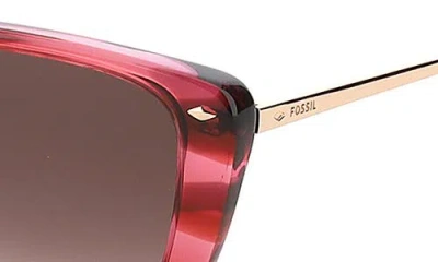 Fossil 54mm Cat Eye Sunglasses In Brown
