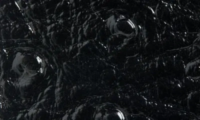 Martine Rose Classic Champagne Cap Leather Belt In Black